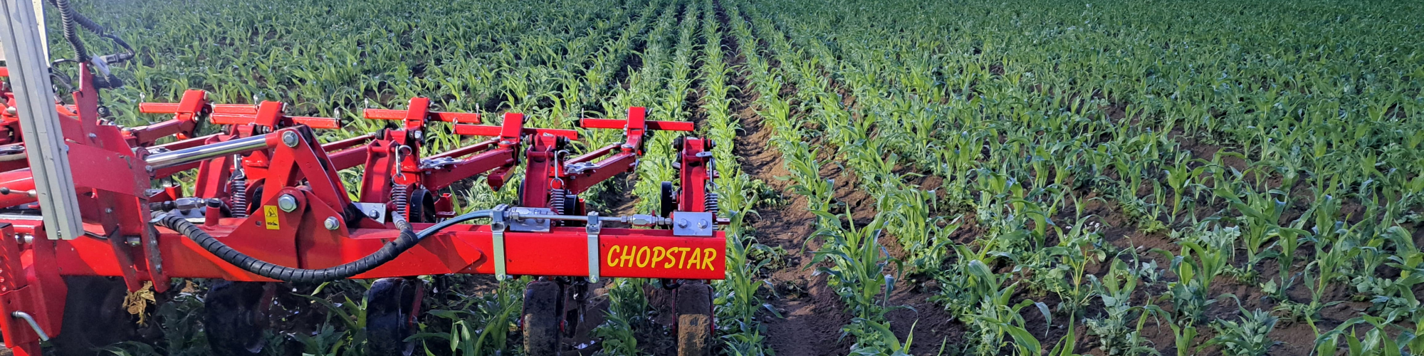 Agrar Planetal Golzow GmbH