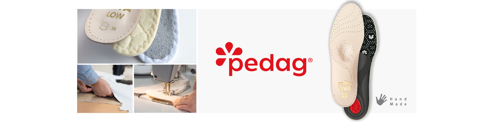 Schelchen GmbH - Pedag International