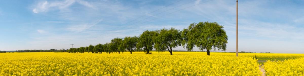 gbf german biofuels gmbh cover