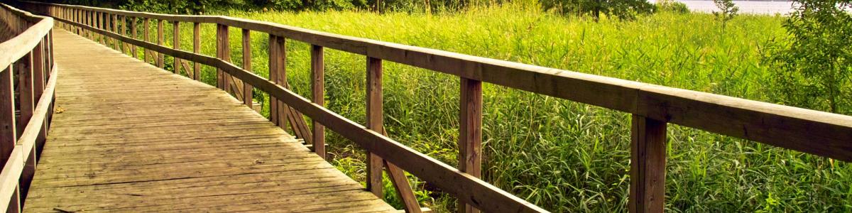 Gemeinde Schwielowsee cover