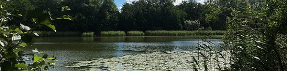 Stadt Falkensee cover